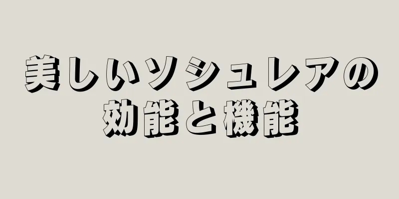 美しいソシュレアの効能と機能