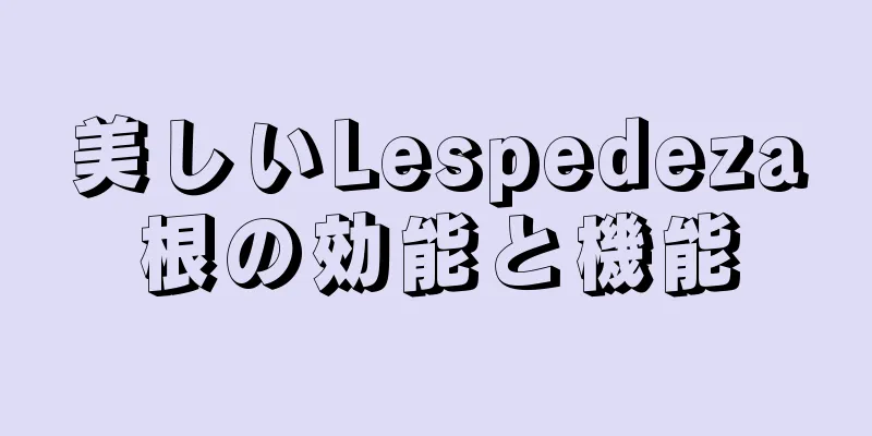 美しいLespedeza根の効能と機能