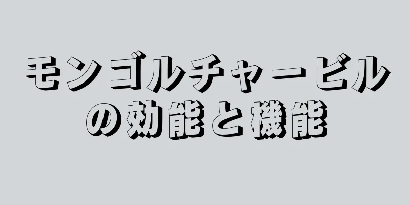 モンゴルチャービルの効能と機能