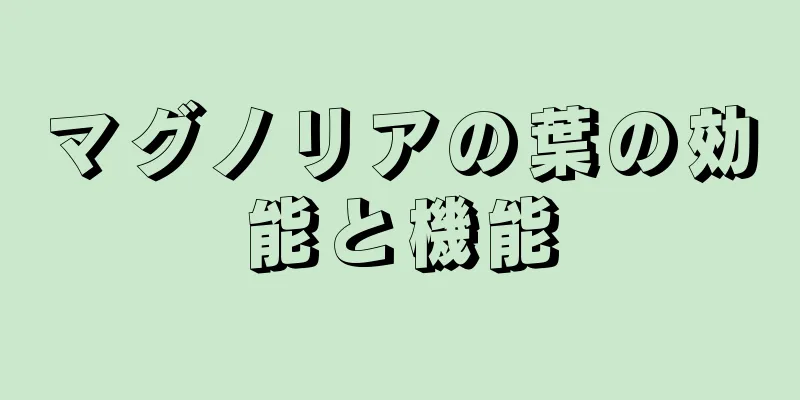 マグノリアの葉の効能と機能