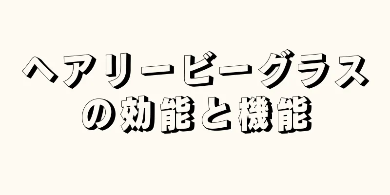 ヘアリービーグラスの効能と機能