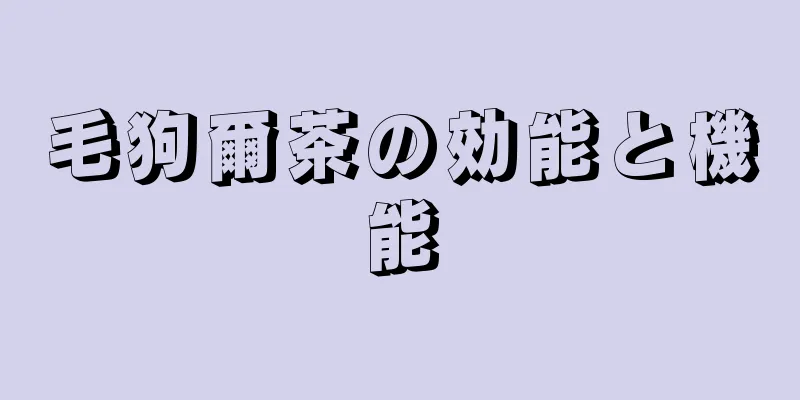 毛狗爾茶の効能と機能