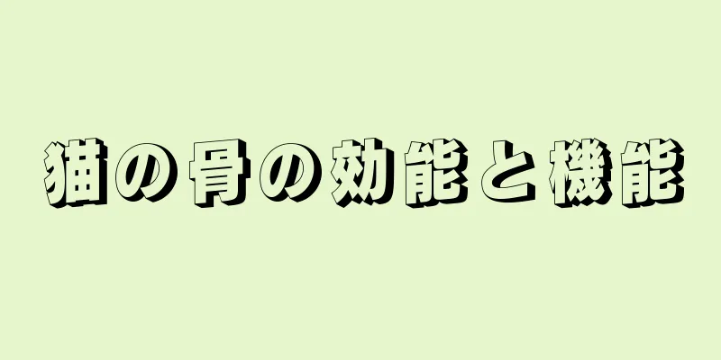 猫の骨の効能と機能