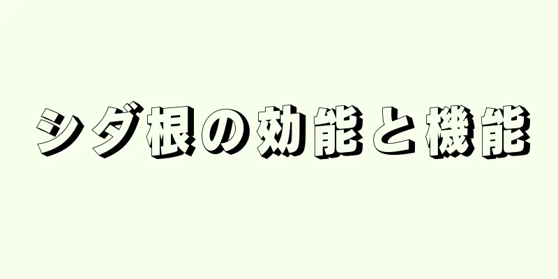 シダ根の効能と機能