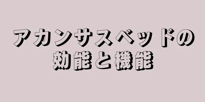 アカンサスベッドの効能と機能
