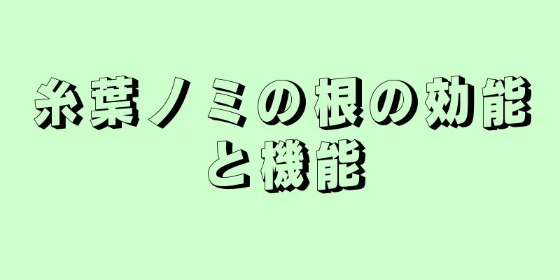 糸葉ノミの根の効能と機能