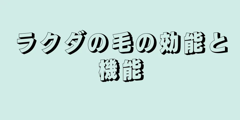 ラクダの毛の効能と機能