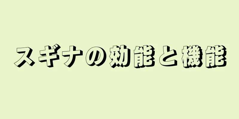 スギナの効能と機能