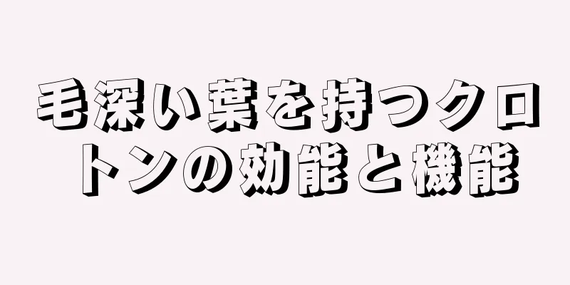 毛深い葉を持つクロトンの効能と機能