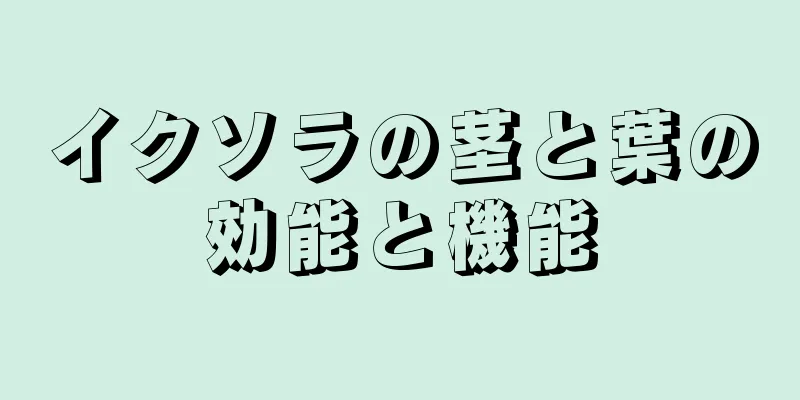 イクソラの茎と葉の効能と機能