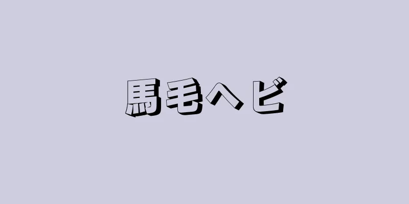 馬毛ヘビ