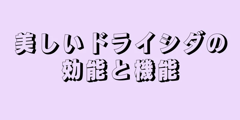 美しいドライシダの効能と機能
