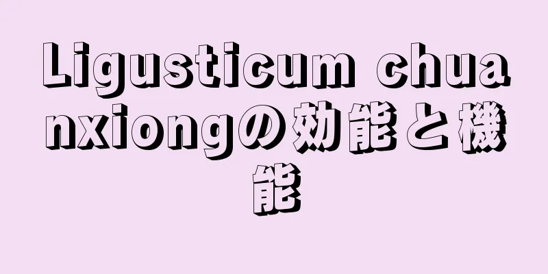 Ligusticum chuanxiongの効能と機能