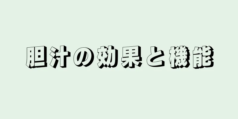 胆汁の効果と機能