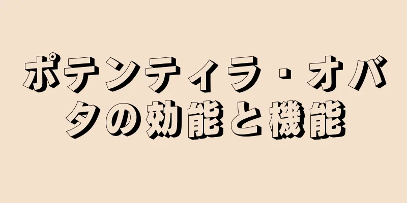 ポテンティラ・オバタの効能と機能