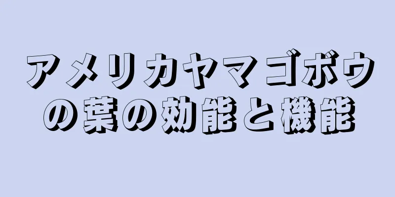 アメリカヤマゴボウの葉の効能と機能