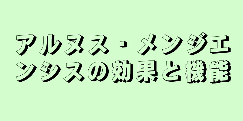 アルヌス・メンジエンシスの効果と機能