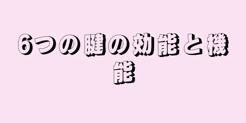6つの腱の効能と機能