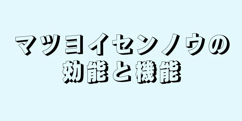 マツヨイセンノウの効能と機能