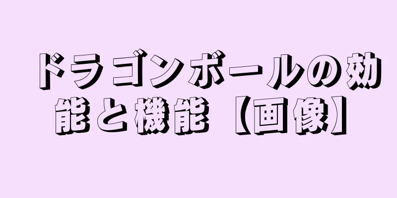 ドラゴンボールの効能と機能【画像】