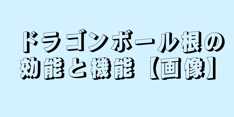 ドラゴンボール根の効能と機能【画像】