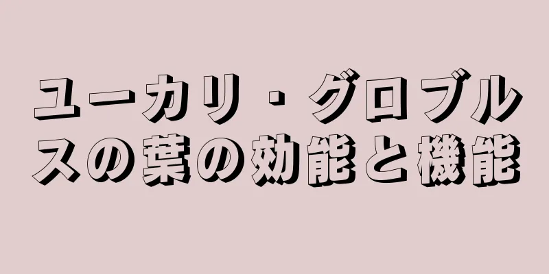 ユーカリ・グロブルスの葉の効能と機能