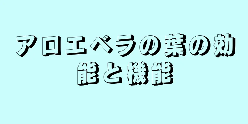 アロエベラの葉の効能と機能