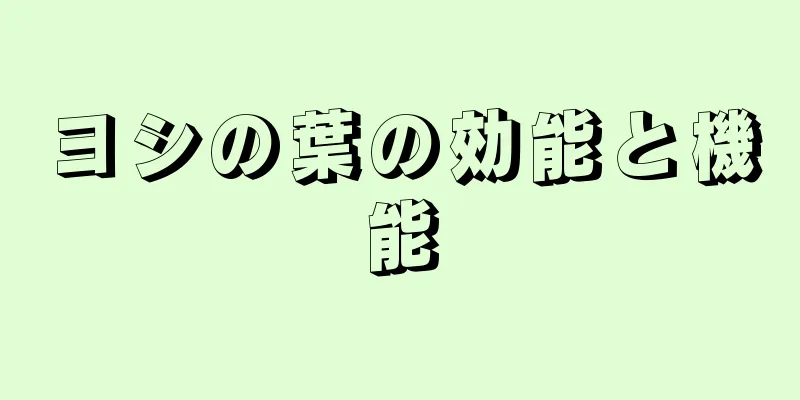 ヨシの葉の効能と機能