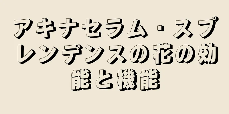 アキナセラム・スプレンデンスの花の効能と機能