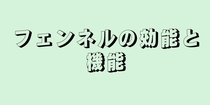 フェンネルの効能と機能