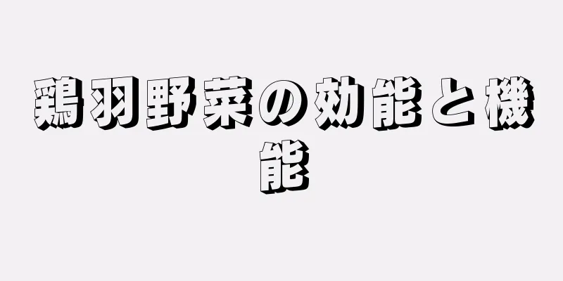 鶏羽野菜の効能と機能