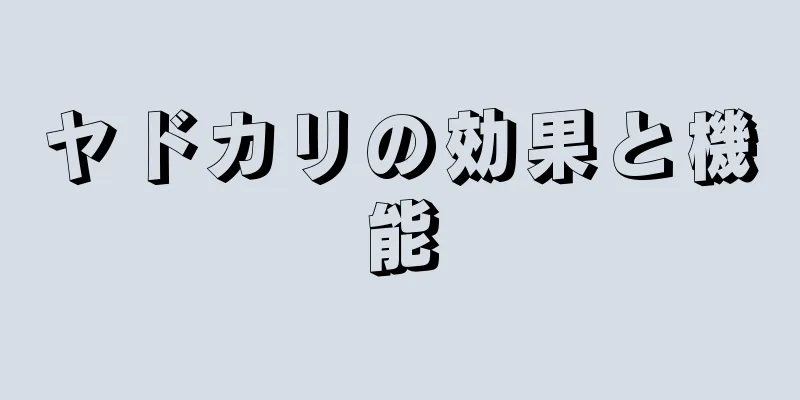 ヤドカリの効果と機能