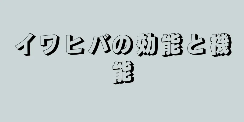 イワヒバの効能と機能