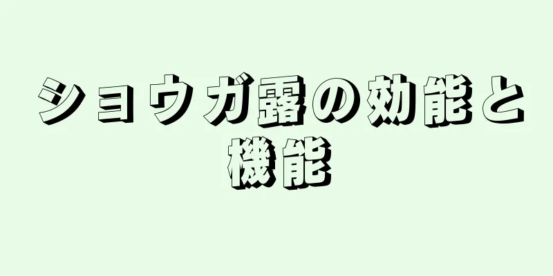 ショウガ露の効能と機能