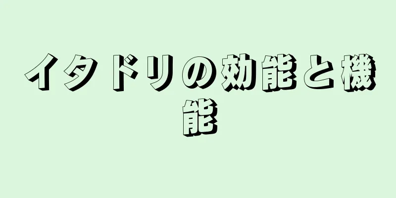 イタドリの効能と機能