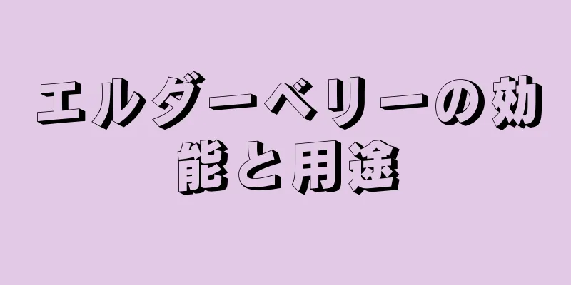 エルダーベリーの効能と用途