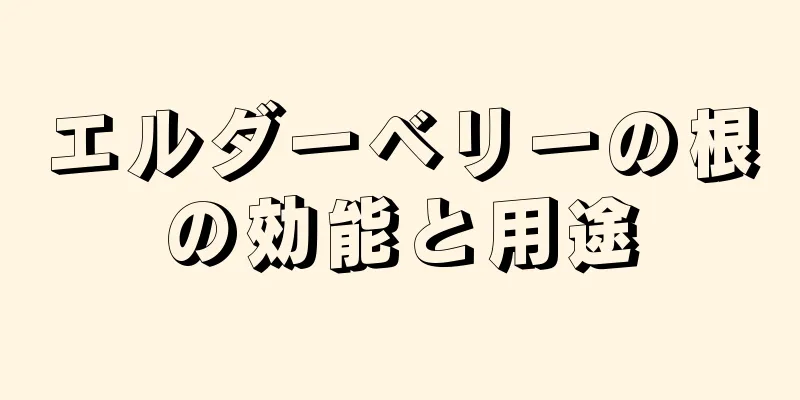 エルダーベリーの根の効能と用途