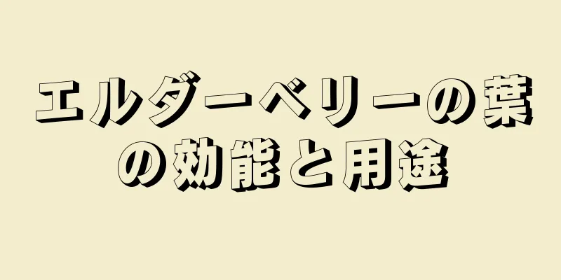エルダーベリーの葉の効能と用途