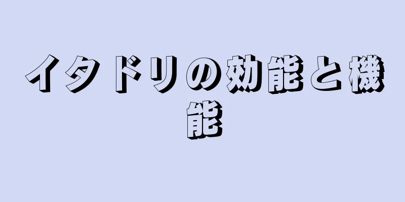 イタドリの効能と機能