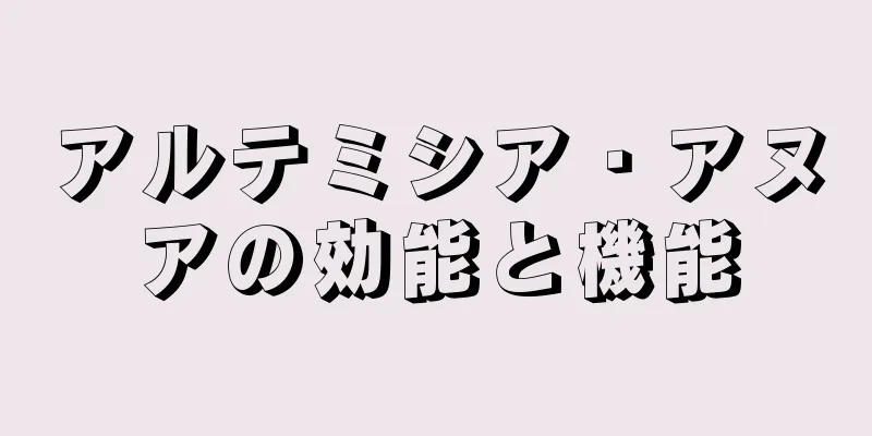 アルテミシア・アヌアの効能と機能