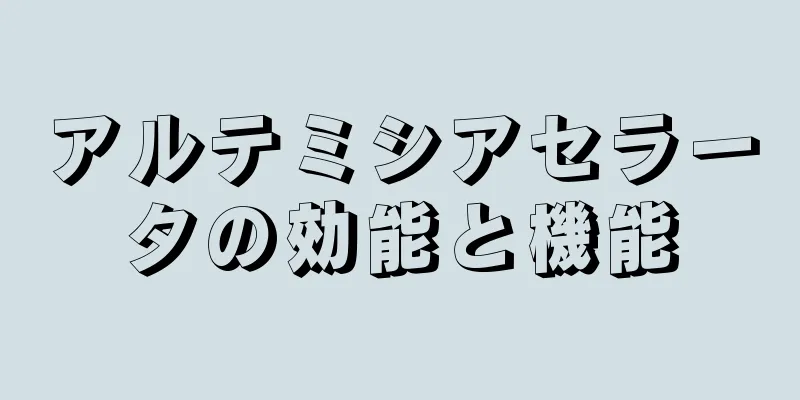 アルテミシアセラータの効能と機能