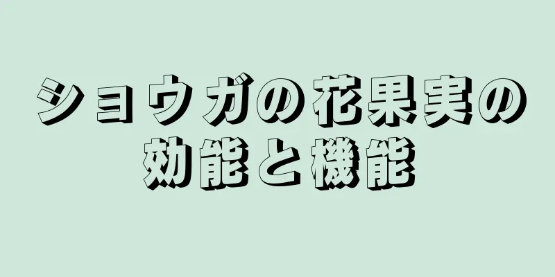 ショウガの花果実の効能と機能
