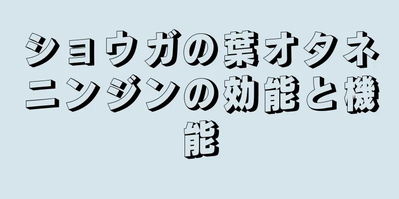 ショウガの葉オタネニンジンの効能と機能