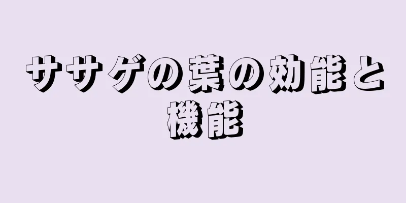ササゲの葉の効能と機能