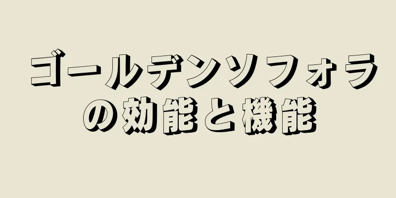 ゴールデンソフォラの効能と機能