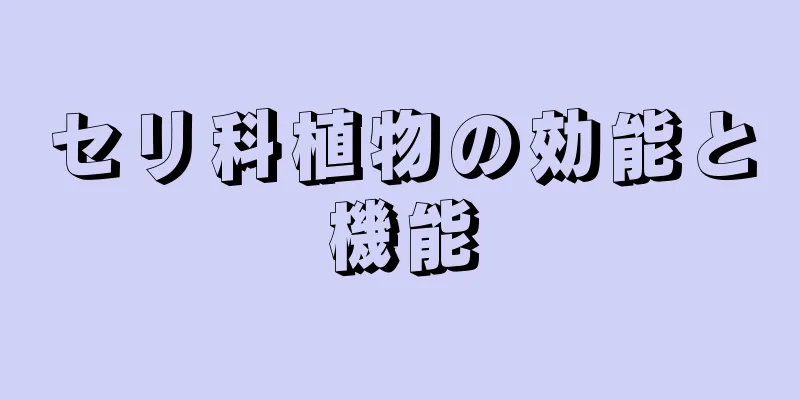 セリ科植物の効能と機能