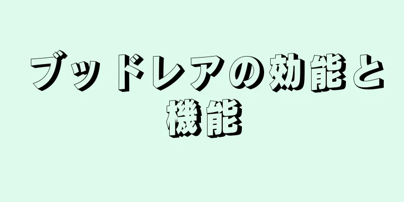 ブッドレアの効能と機能