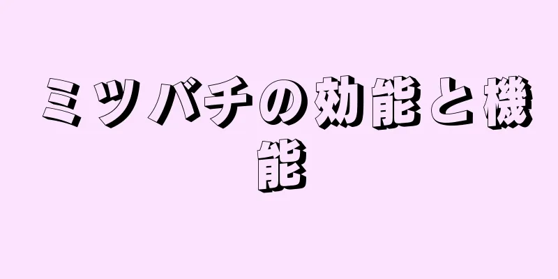 ミツバチの効能と機能