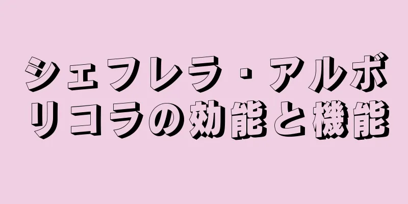 シェフレラ・アルボリコラの効能と機能
