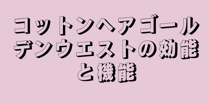 コットンヘアゴールデンウエストの効能と機能